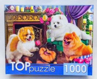 ​TOPpuzzle Пазлы 1000 элементов, Игривые шпицы, арт. ГИТП1000-4145