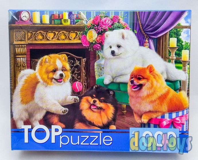 ​TOPpuzzle Пазлы 1000 элементов, Игривые шпицы, арт. ГИТП1000-4145, фото 1