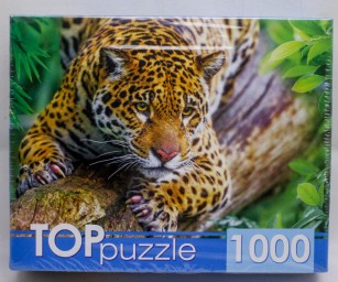 ​TOPpuzzle Пазлы 1000 элементов, Грациозный леопард на дереве, арт. ШТТП1000-4305