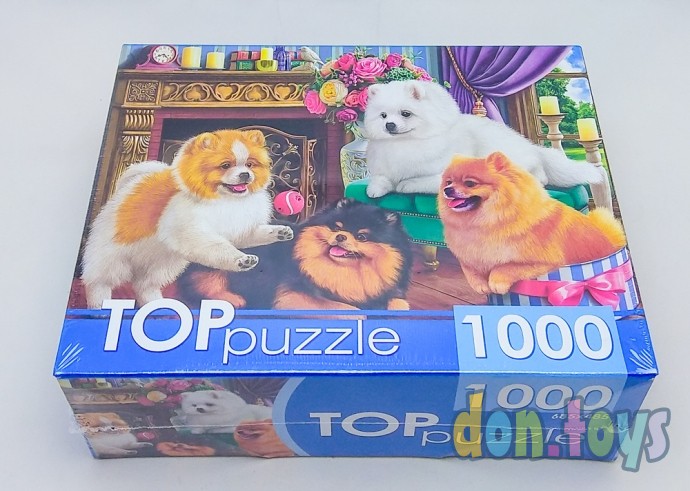​TOPpuzzle Пазлы 1000 элементов, Игривые шпицы, арт. ГИТП1000-4145, фото 2