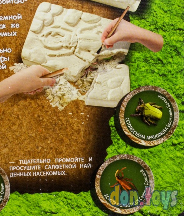 ​Набор для раскопок Bugs Excavation Жуки, Danko Toys, арт. BEX-01-02, фото 8