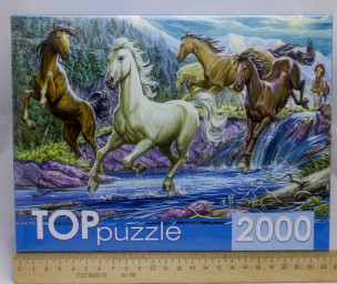​TOPpuzzle. ПАЗЛЫ 2000 элементов. Ночной табун лошадей, арт. ХТП2000-1594