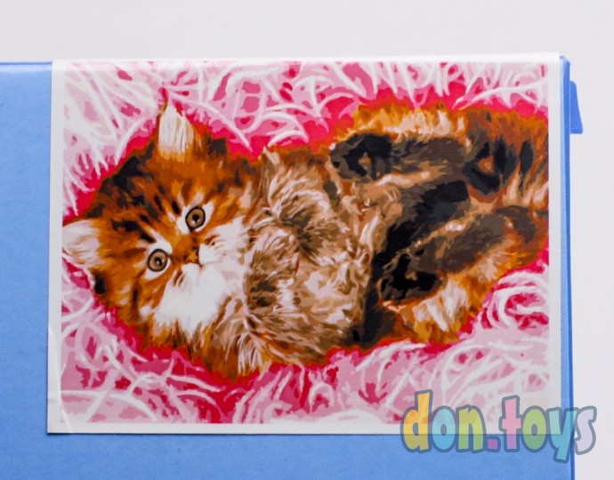 ​Картина по номерам на холсте «Пушистый котик» 50х40, арт. X-4692, фото 1