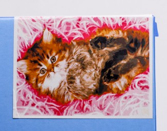 ​Картина по номерам на холсте «Пушистый котик» 50х40, арт. X-4692