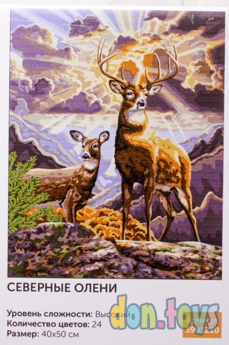 ​Рисование по номерам 40х50 см «Северные олени», арт. 19964, фото 3